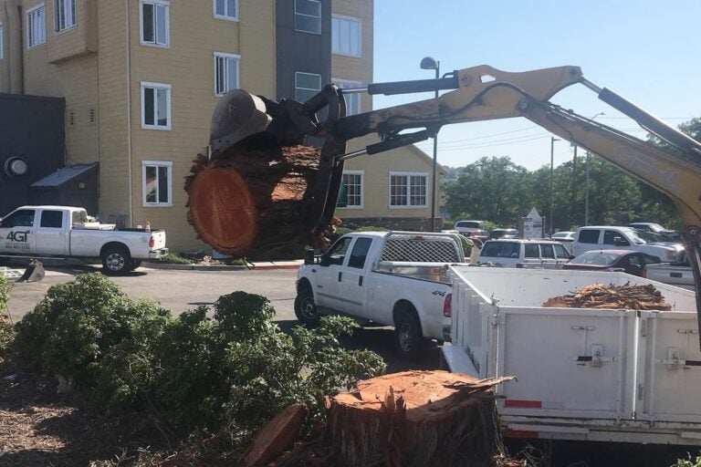 Excavator lifting a cut tree trunk beside an apartment building.