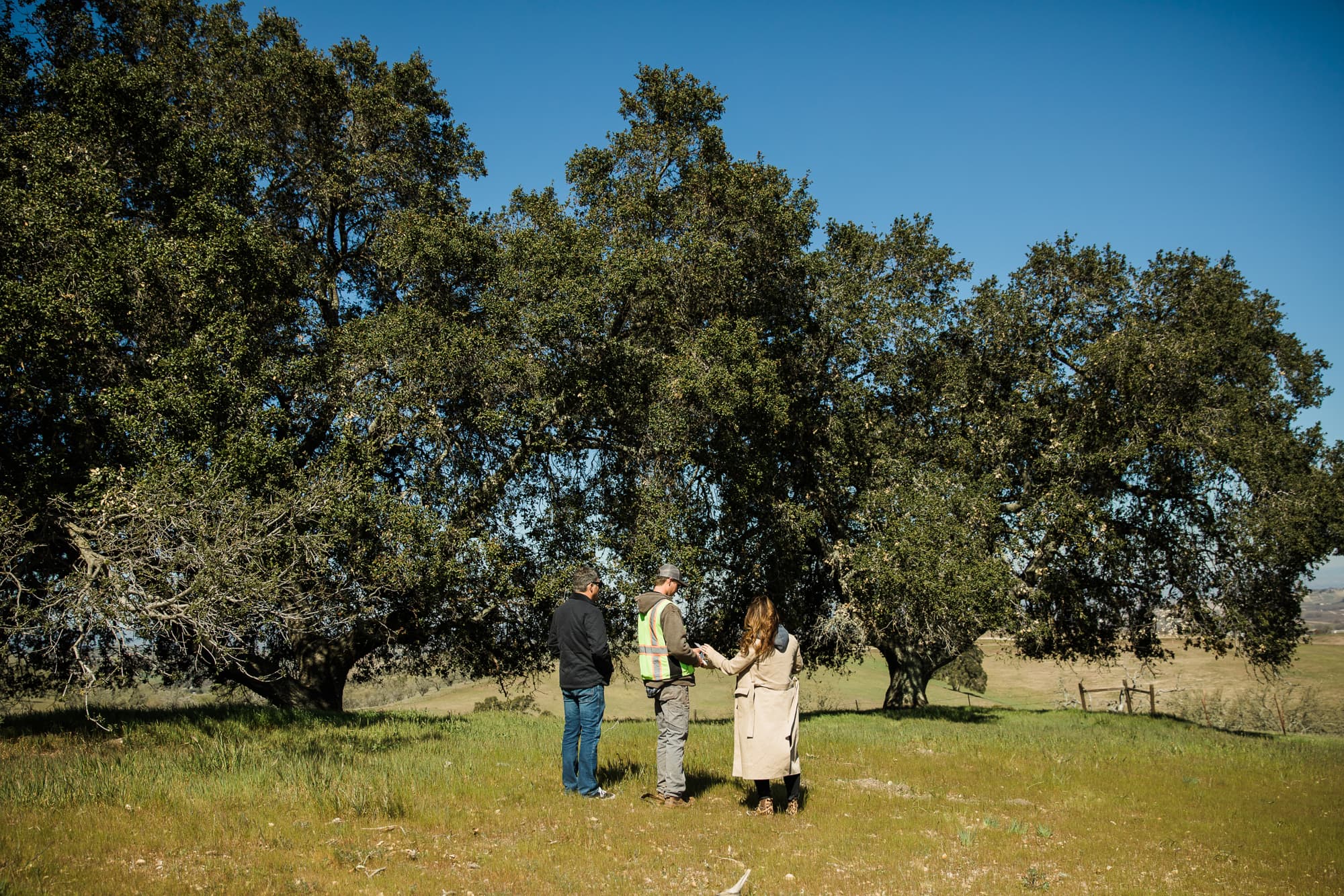 Consultant with two people gathered beneath trees in a grassy field.