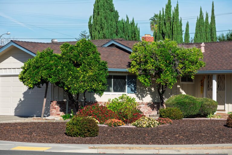 House with trimmed front-yard trees, shrubs, and flower beds.