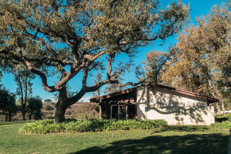 Large oak tree with spreading branches beside a single-story house.