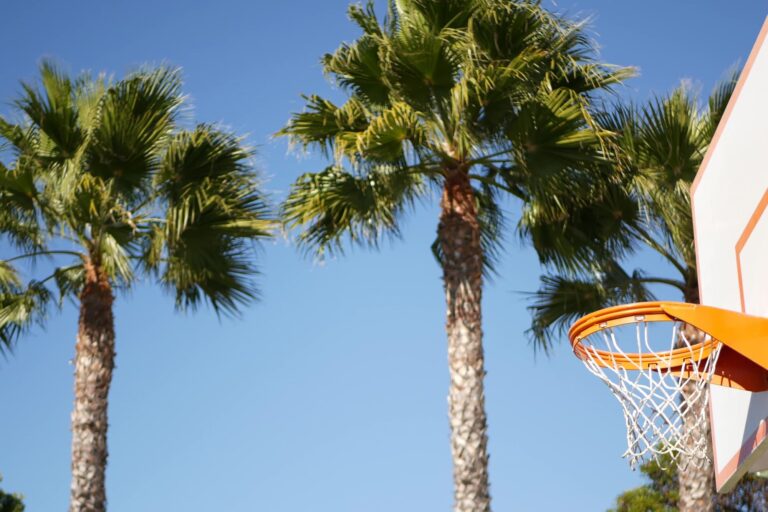 Palm trees beside a basketball hoop.