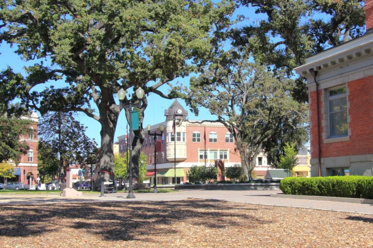 Large trees beside a downtown Paso Robles California street lined with brick buildings.