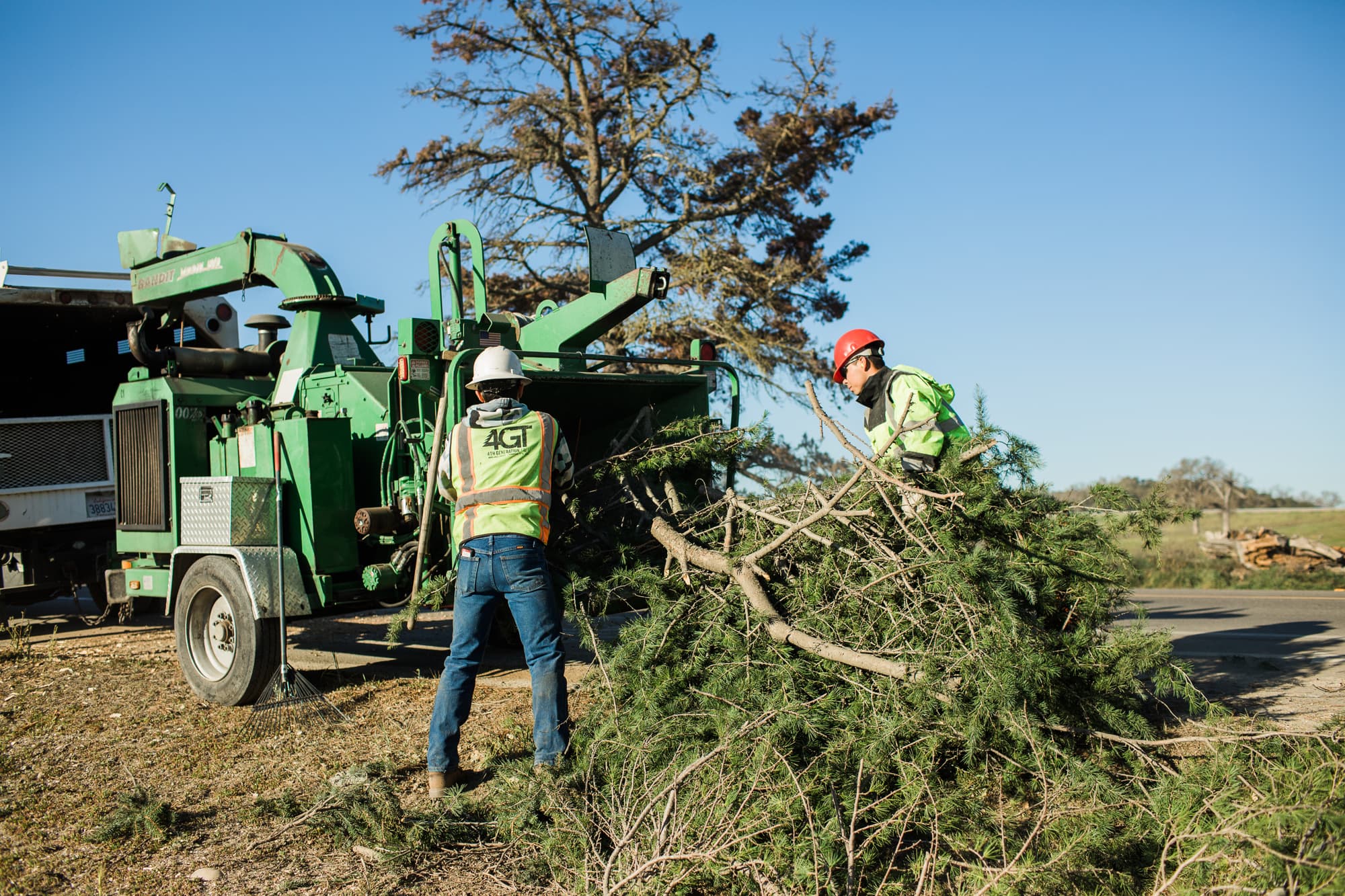 Workers feeding cut branches into a green wood chipper.