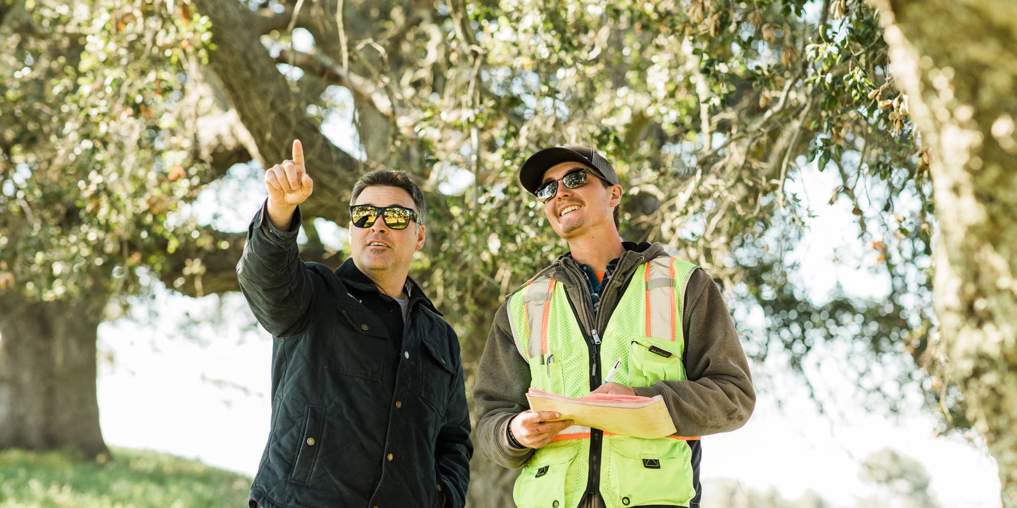 Two people looking up at a tree, with one pointing toward the canopy.