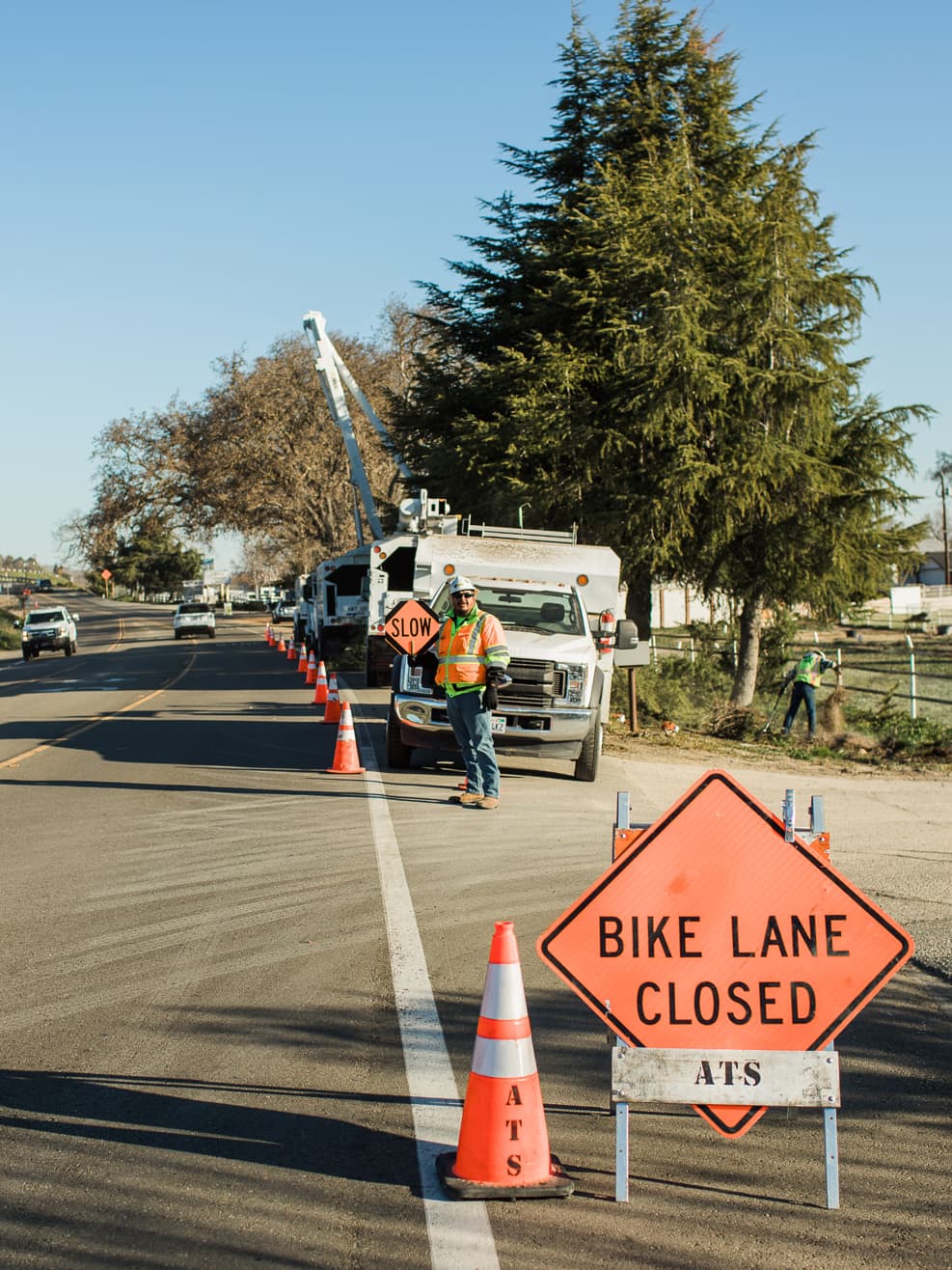 Bike Lane Closed sign and traffic cones beside tree-service trucks.