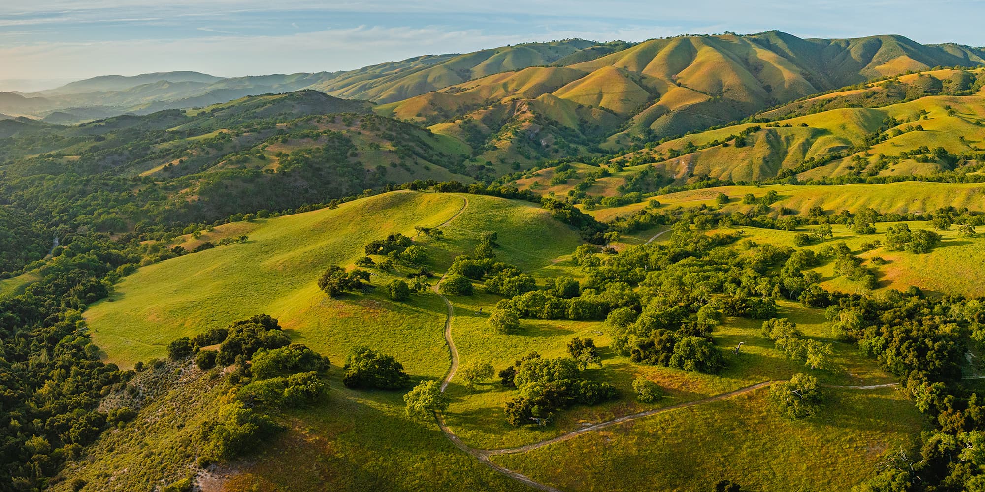 Rolling green hills dotted with trees and distant ridge lines in the central California coast area.