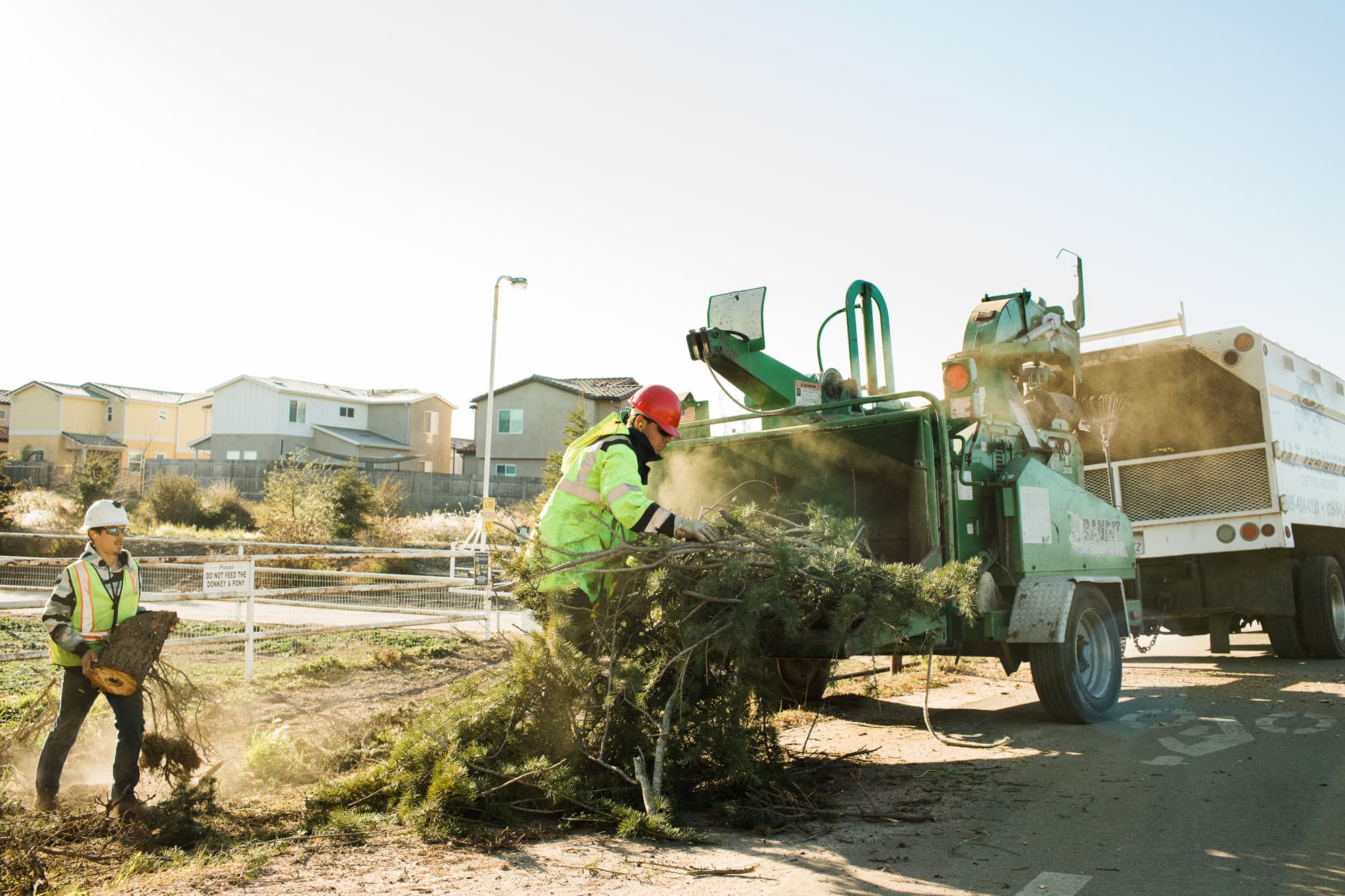 Workers handling cut branches beside a roadside wood chipper and truck.