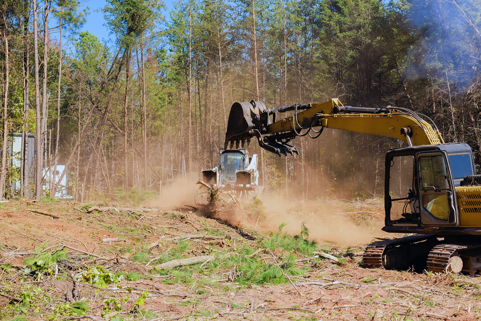 Excavator and compact loader clearing a wooded area amid dust and cut branches.