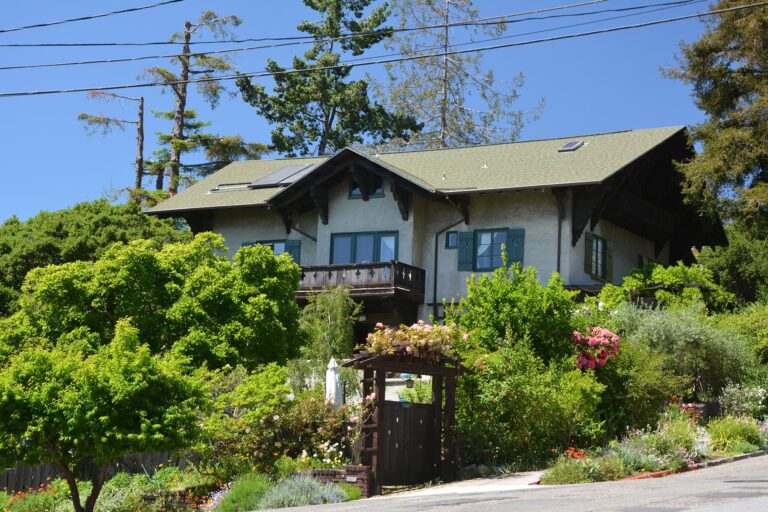 House on a slope surrounded by dense garden shrubs and trees.