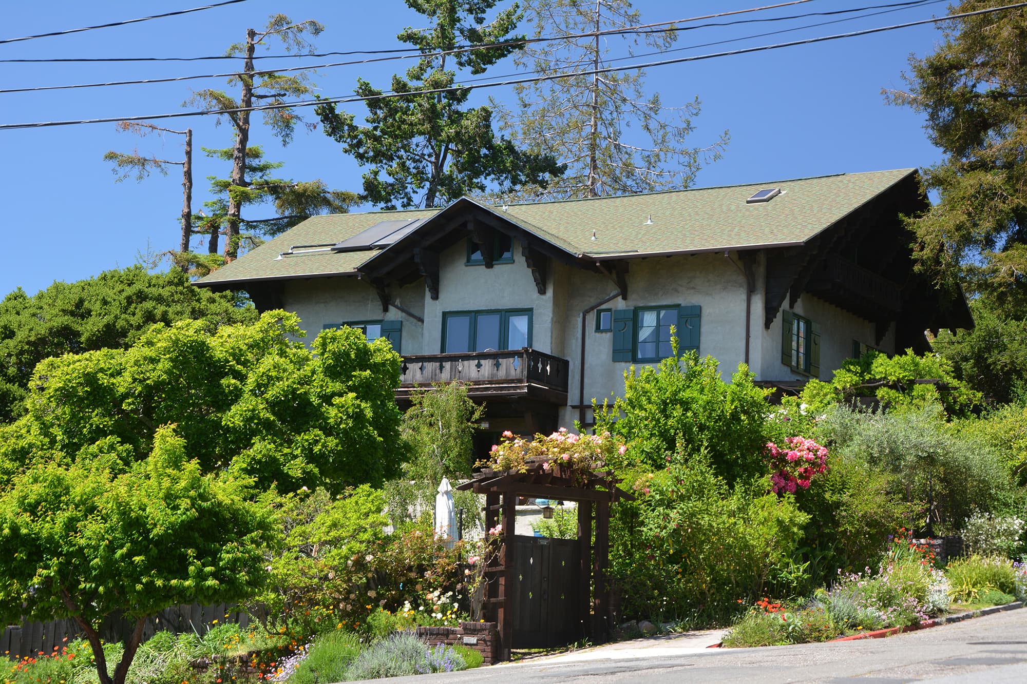 House on a slope surrounded by dense garden shrubs and trees.