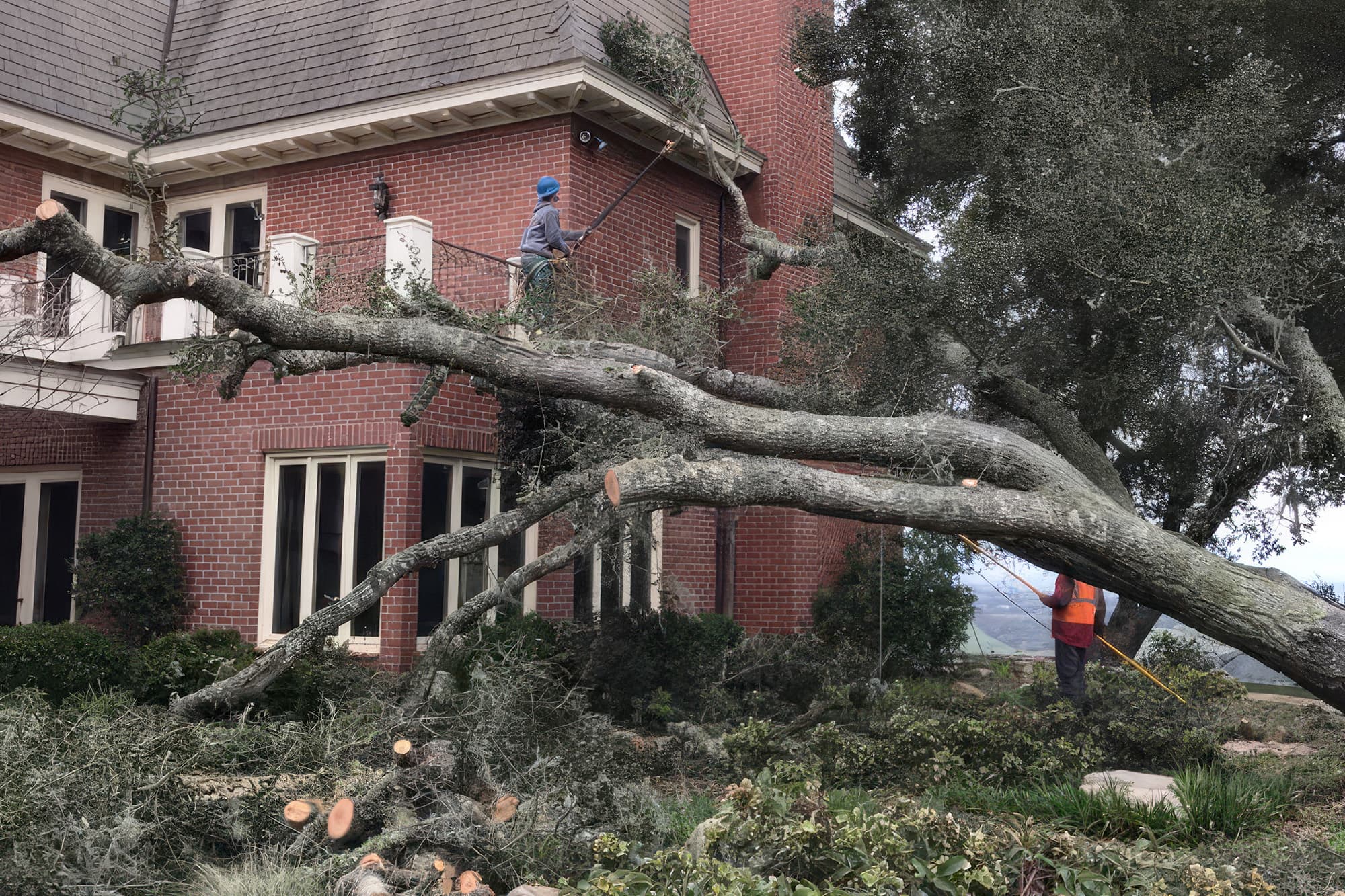 Workers beside a fallen tree leaning against a brick house.