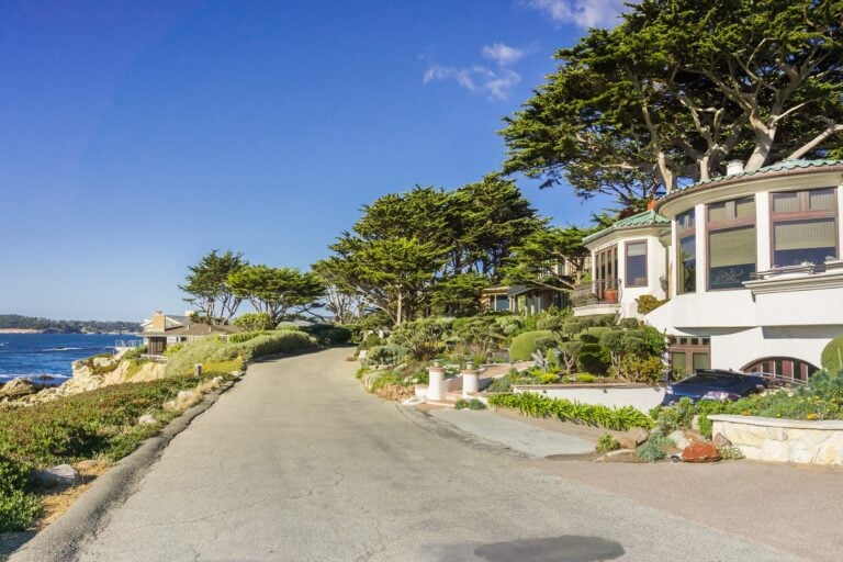 Coastal homes and tall trees lining a road beside the ocean.