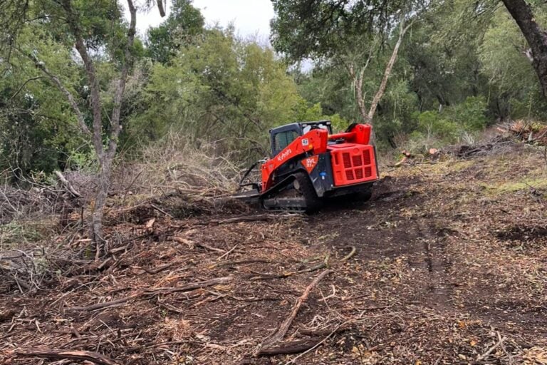 Red compact tracked loader on a cleared strip among trees and brush.