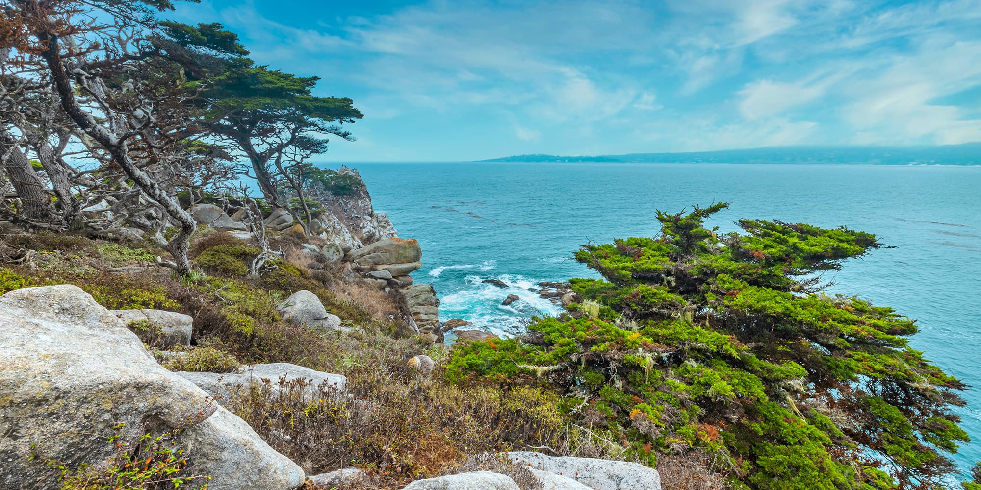 Wind-shaped trees on a rocky coastline above blue ocean water in Monterey County California.