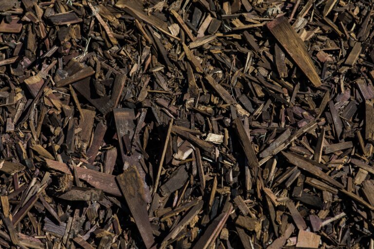 Close-up of wood chips and bark pieces.