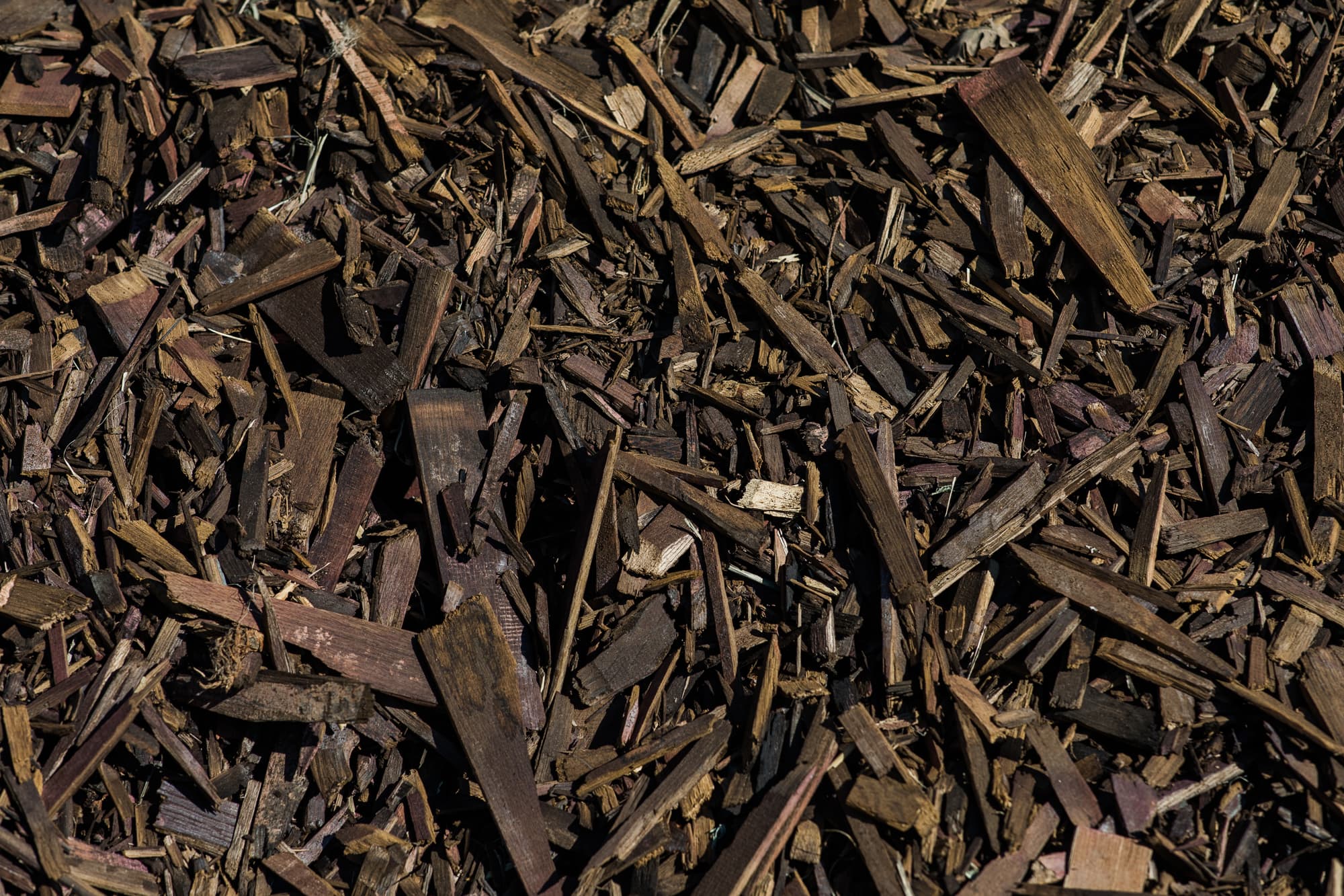 Close-up of wood chips and bark pieces.