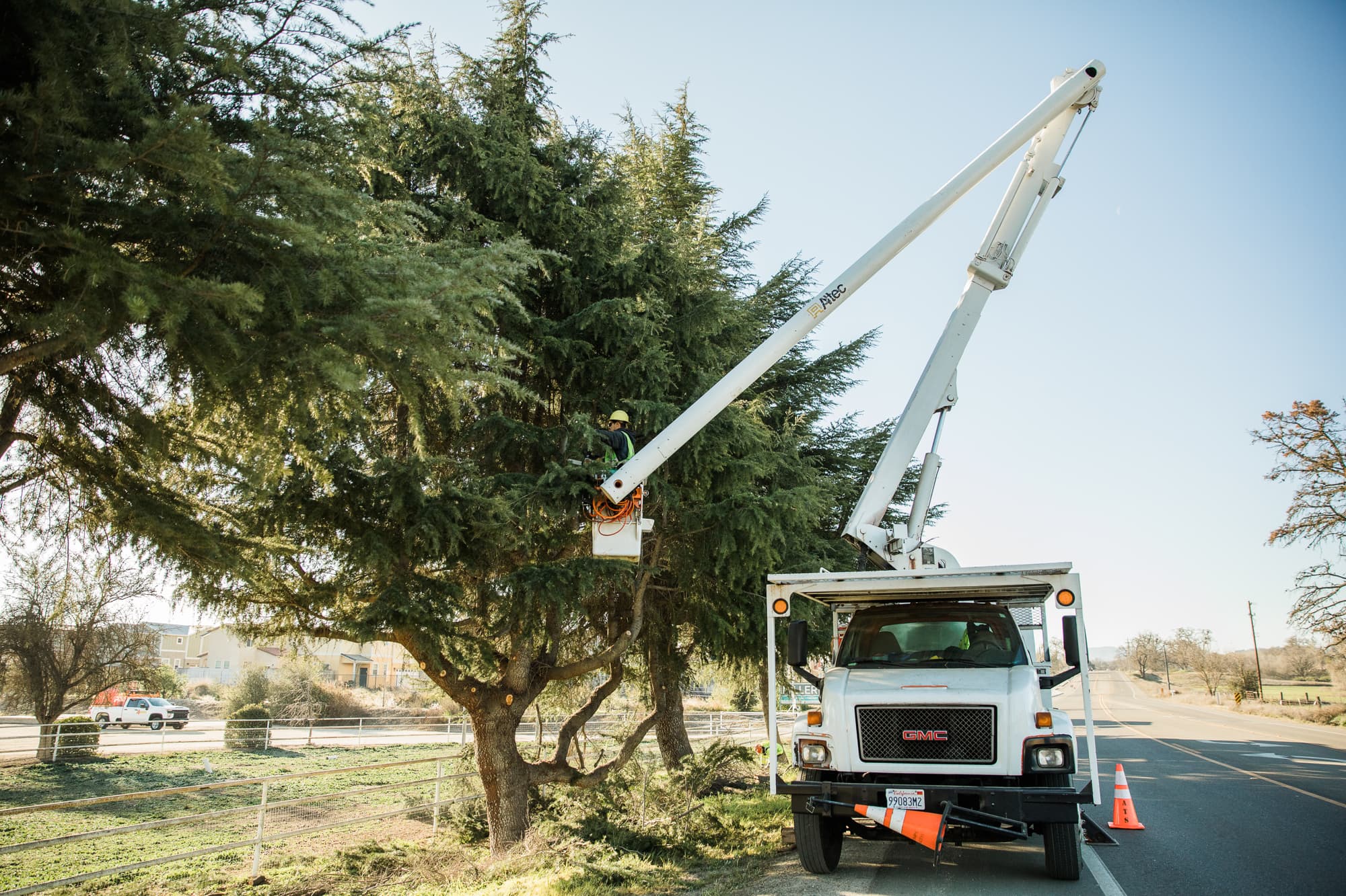 Worker in a raised bucket lift beside a roadside tree and work truck.