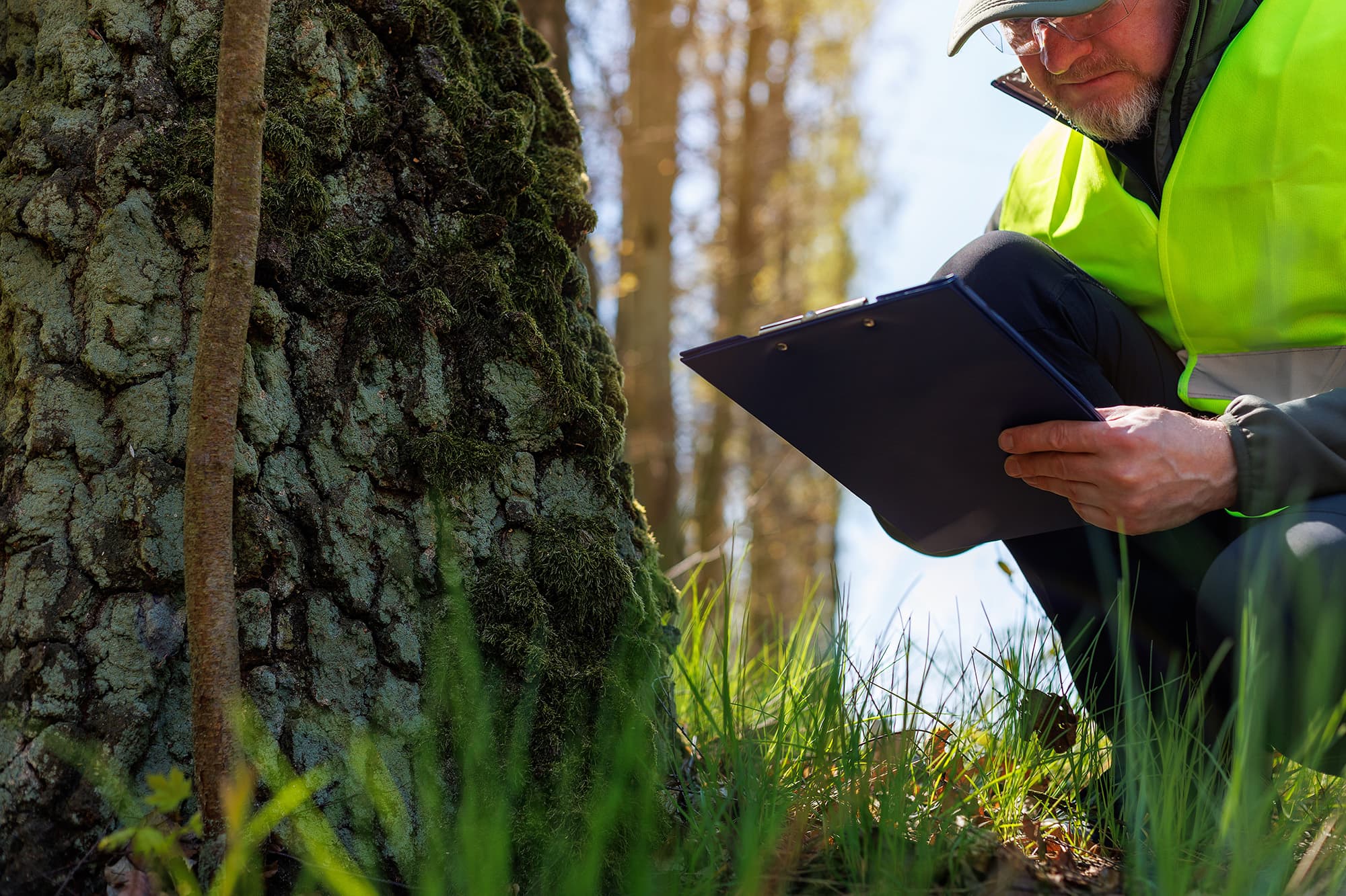 Worker holding a clipboard beside a tree trunk.