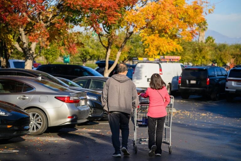 Two people pushing a shopping cart through a tree-lined parking lot.