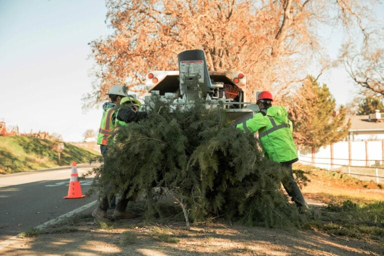 Workers feeding a large pile of branches into a roadside wood chipper.