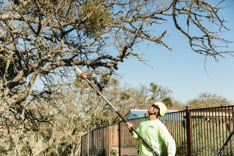Worker using a pole saw to prune a tree branch beside a fence.