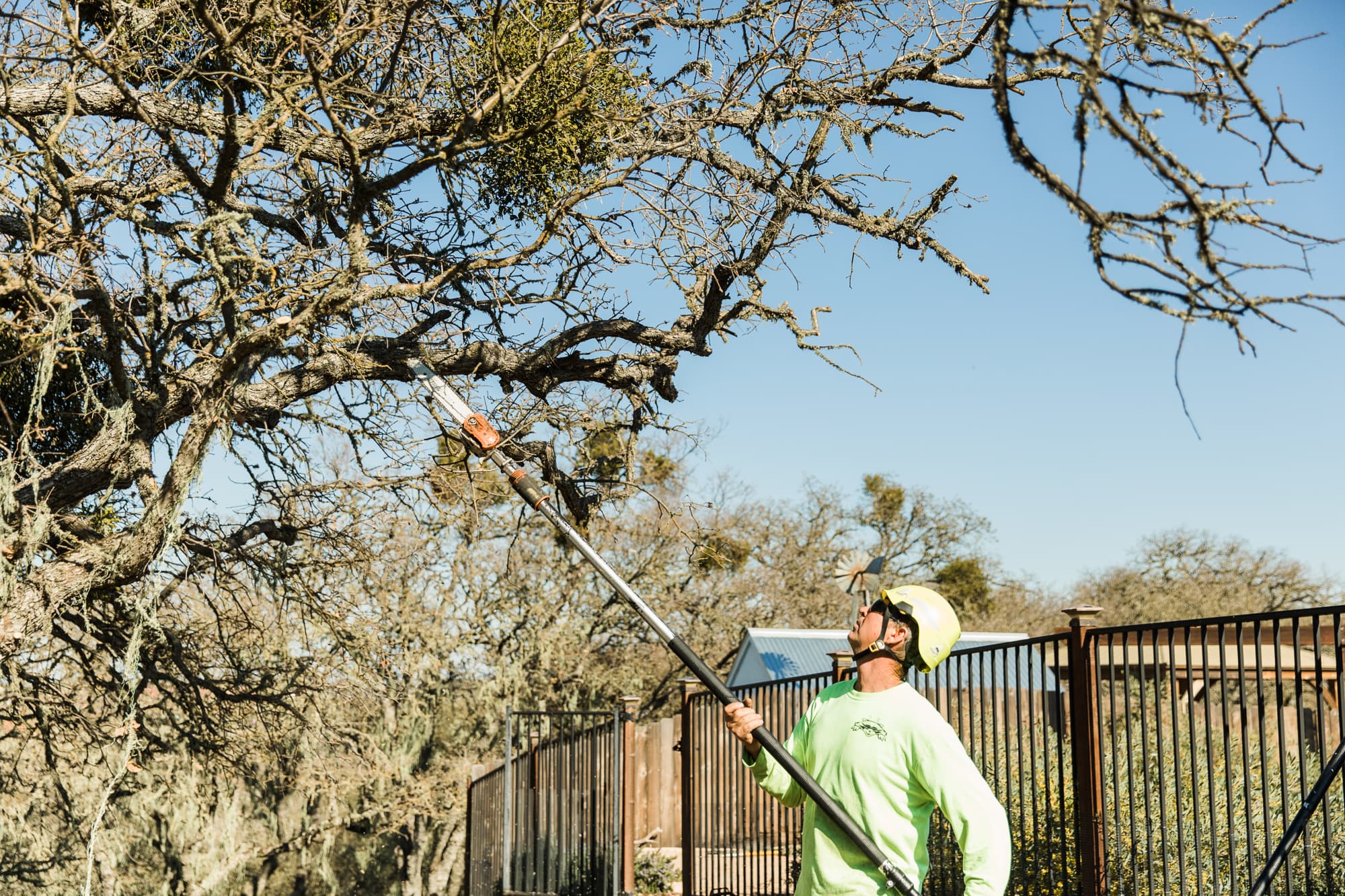 Worker using a pole saw to prune a tree branch beside a fence.