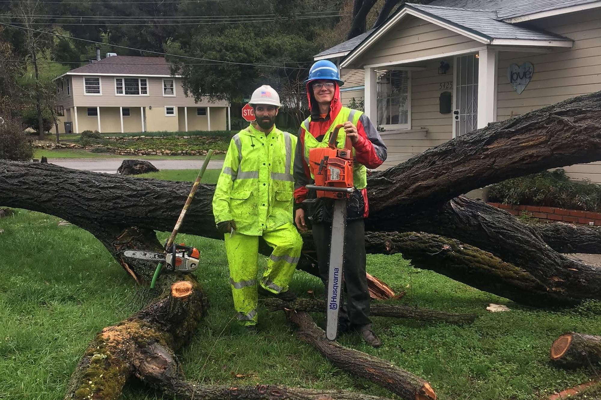 Two workers with chainsaws standing beside a large felled tree near houses.